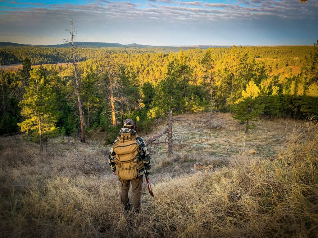 Turkey hunting in Montana