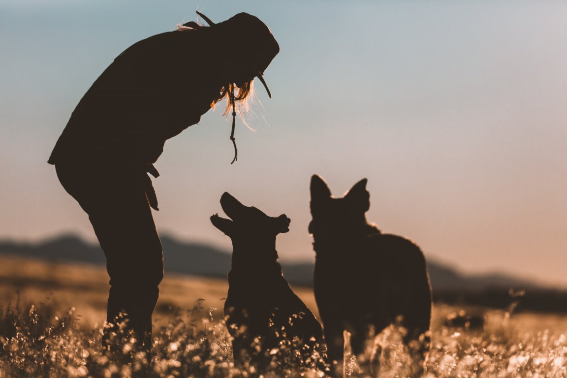 Dog-Friendly Lodging in Southwest Montana